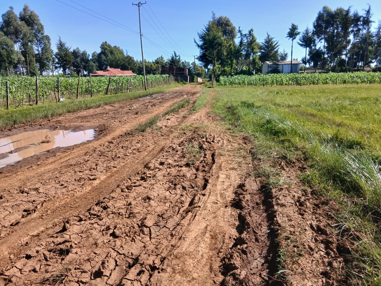 1 Acre Residential Land for Sale in Growel (3)