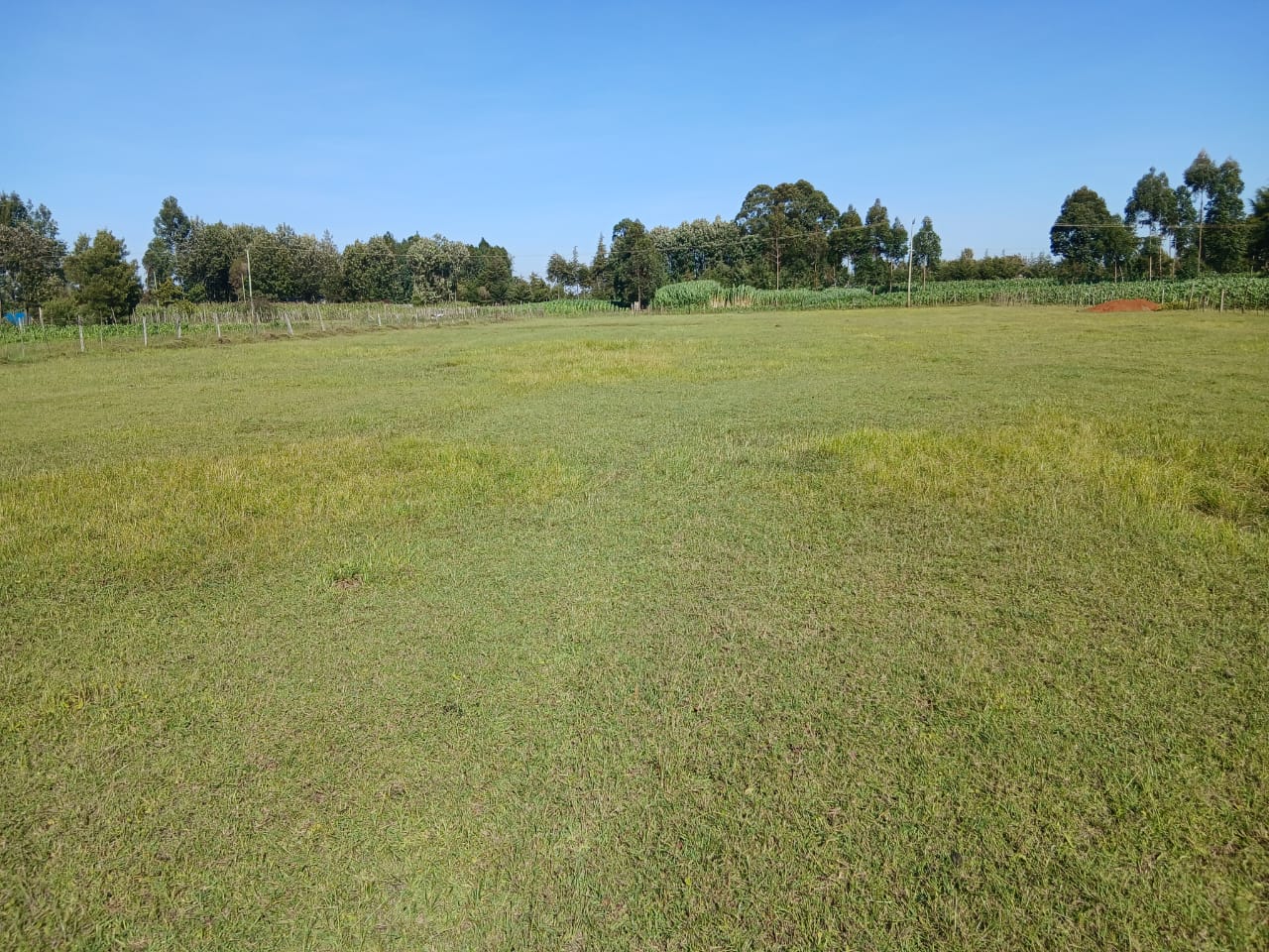 1 Acre Residential Land for Sale in Growel (4)