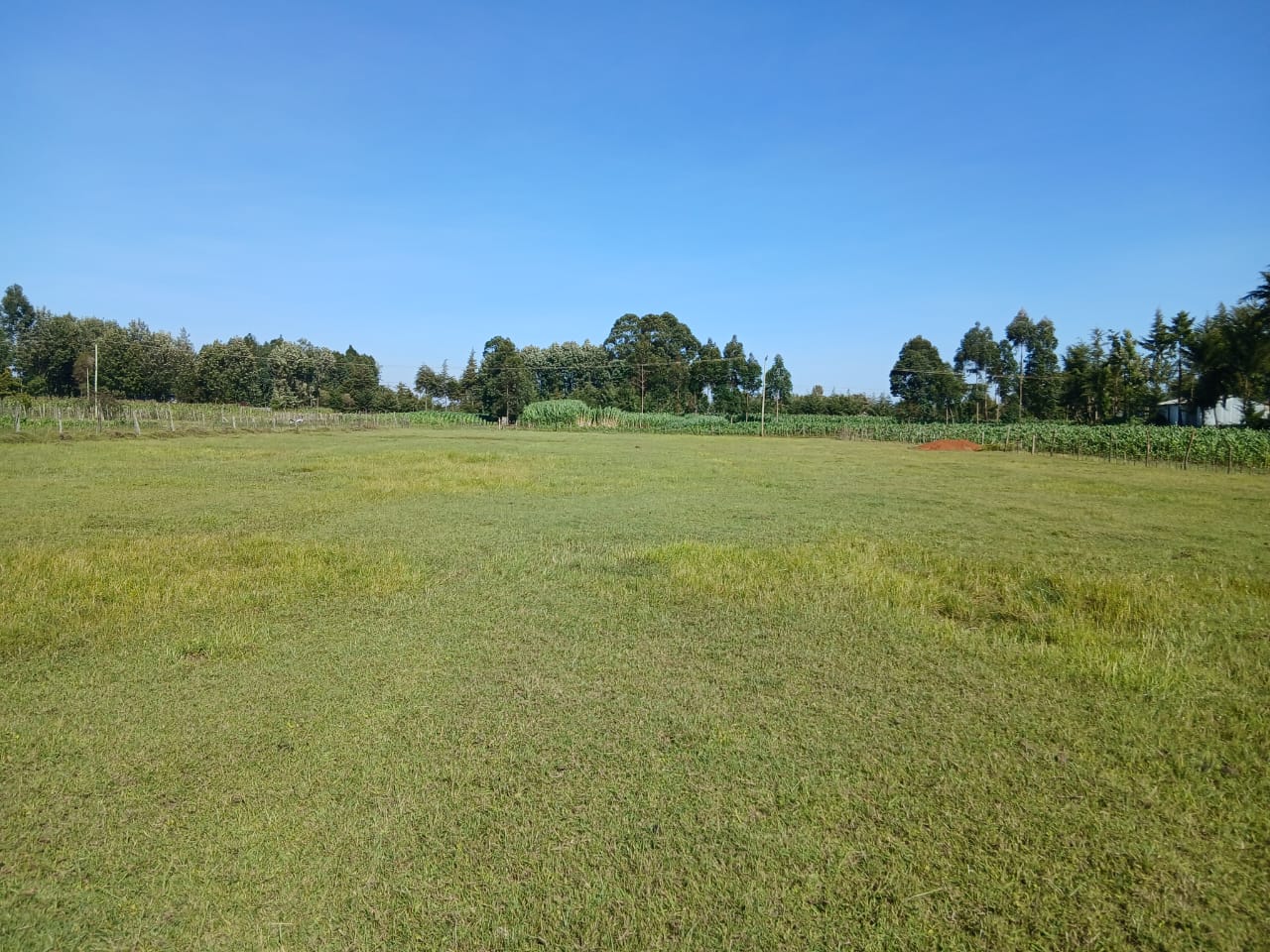 1 Acre Residential Land for Sale in Growel (5)