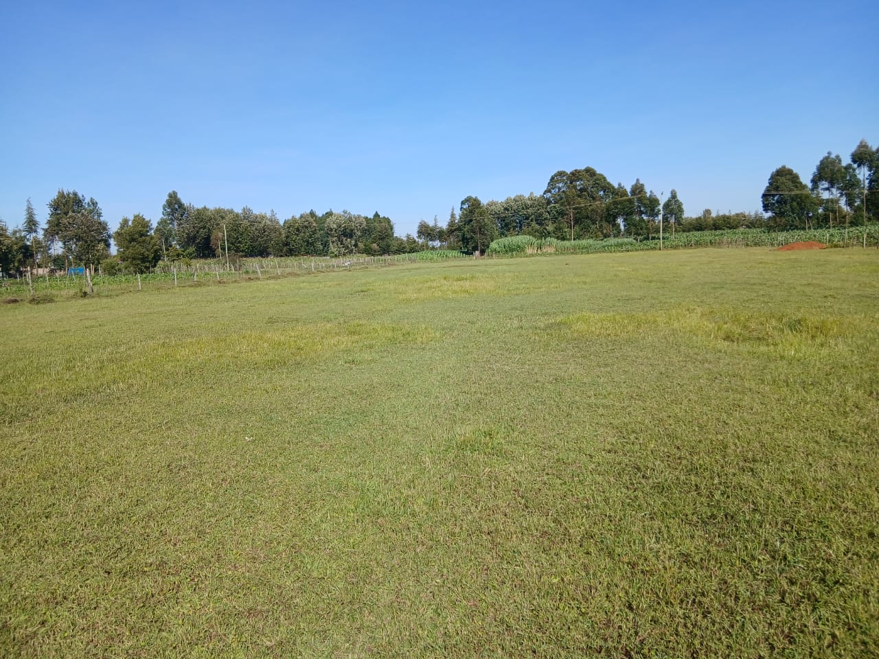 1 Acre Residential Land for Sale in Growel